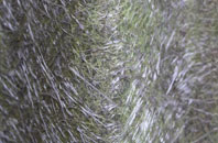 Thornholme fibreglass roof work